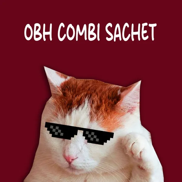 Cover lagu Obh Combi Sachet - MR EWIK