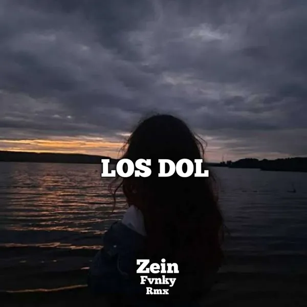 Cover lagu Los Dol - Zein Fvnky Rmx